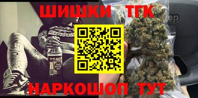 гидра Новодвинск