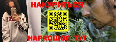 гидра Новодвинск
