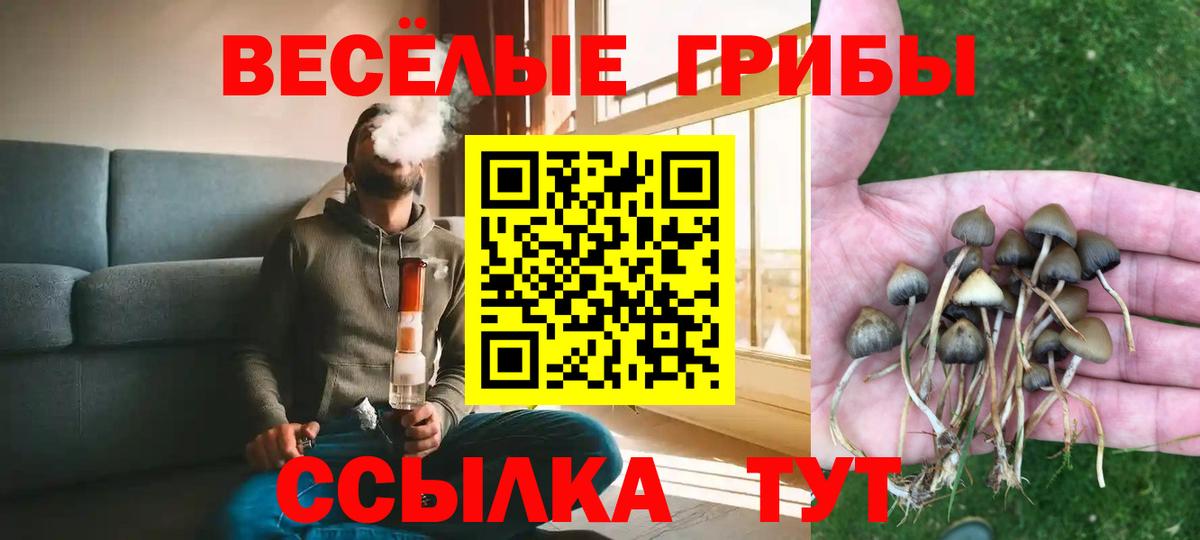 Галлюциногенные грибы Magic Shrooms  Галлюциногенные грибы ЛСД  Псков  Вход с VPN 