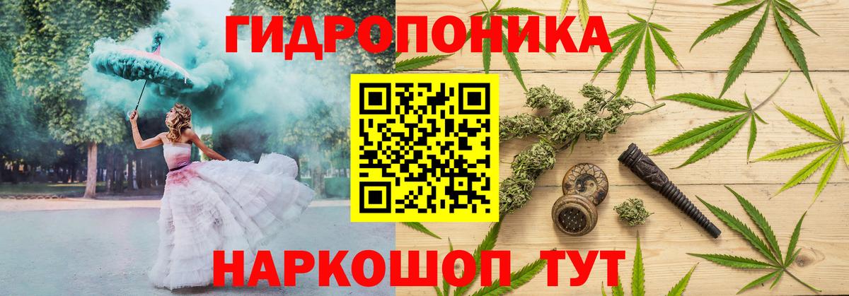 Марихуана конопля  Вход с VPN  Псков  Конопля OG Kush  Шишки марихуана планчик 